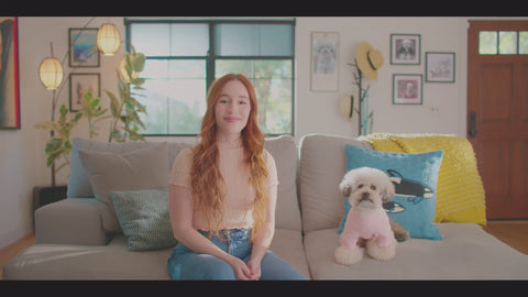 NELLO Air Shower & Pet Dryer (ND-A0610FG)