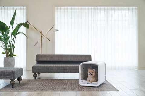 Introducing the Nello