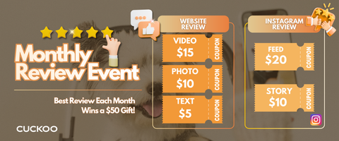 CUCKOO Monthly Review Event