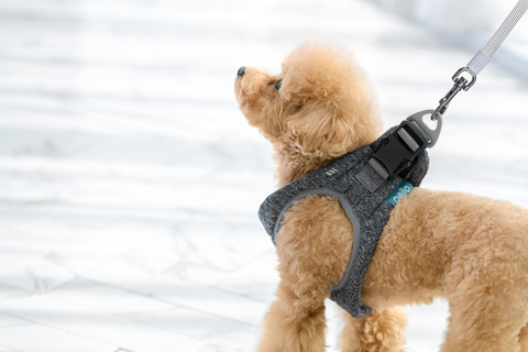NELLO Airpro Harness (NH-A10) - CUCKOO AUSTRALIA
