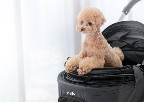 NELLO One Touch Folding Pet Stroller (NSR-CA04AT) - CUCKOO AUSTRALIA