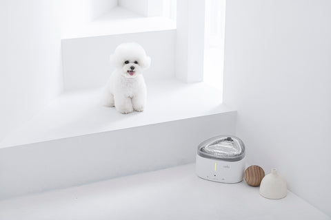 NELLO Smart Water Fountain for Pets (NW-BS150UW) - CUCKOO AUSTRALIA
