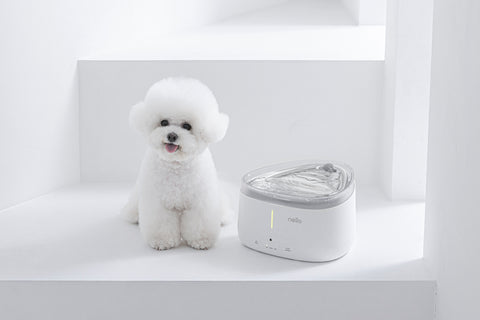 NELLO Smart Water Fountain for Pets (NW-BS150UW) - CUCKOO AUSTRALIA