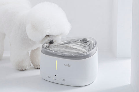 Smart Water Fountain for Pet (NW-BS150UW) - CUCKOO AUSTRALIA