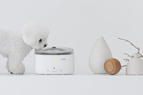 NELLO Smart Water Fountain for Pets (NW-BS150UW) - CUCKOO AUSTRALIA